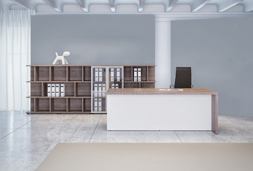 Кабинет руководителя Terra